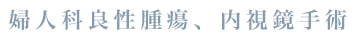 婦人科良性腫瘍、内視鏡手術