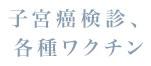 子宮がん検診、各種ワクチン